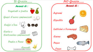 Cosa posso mettere nel compost per i lombrichi?